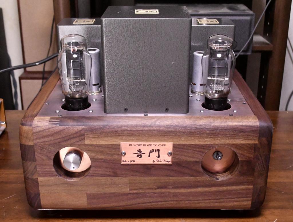 VT-62/801A/50SE tube amplifier special made 117V input pure class A1