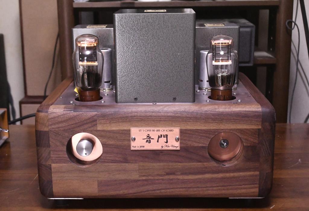 VT-62/801A/50SE tube amplifier special made 117V input pure class A1