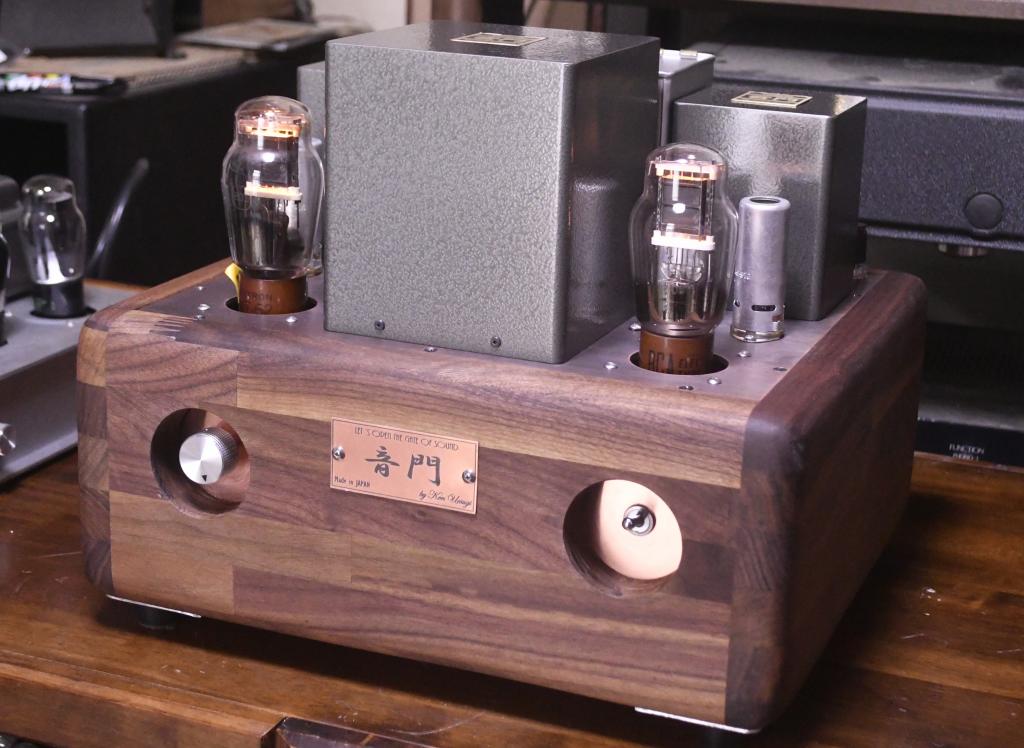 VT-62/801A/50SE tube amplifier special made 117V input pure class A1