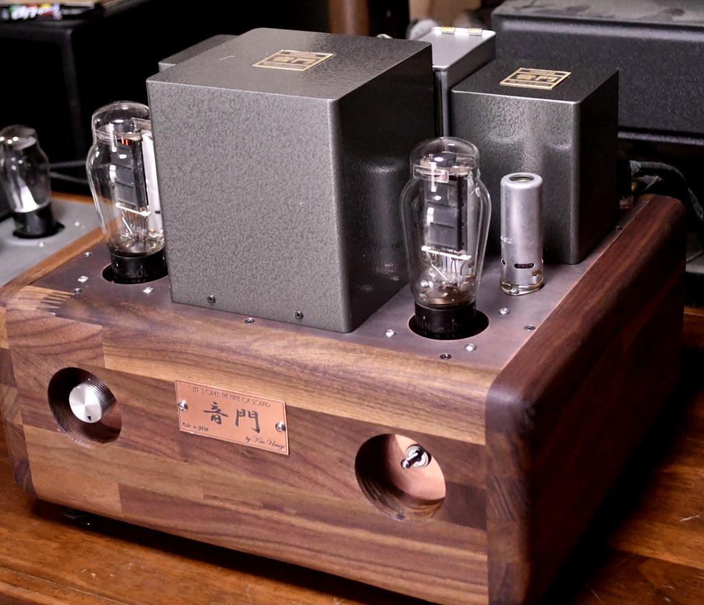 VT-62/801A/50SE tube amplifier special made 117V input pure class A1