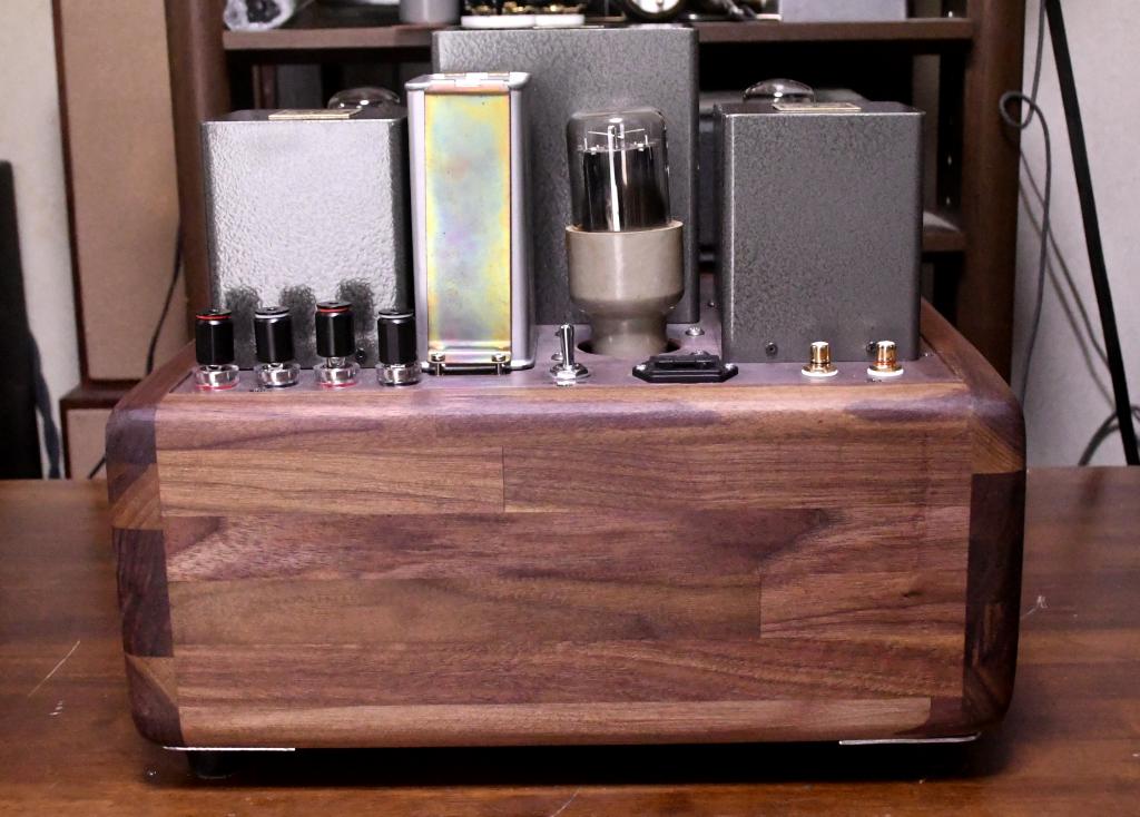 VT-62/801A/50SE tube amplifier special made 117V input pure class A1