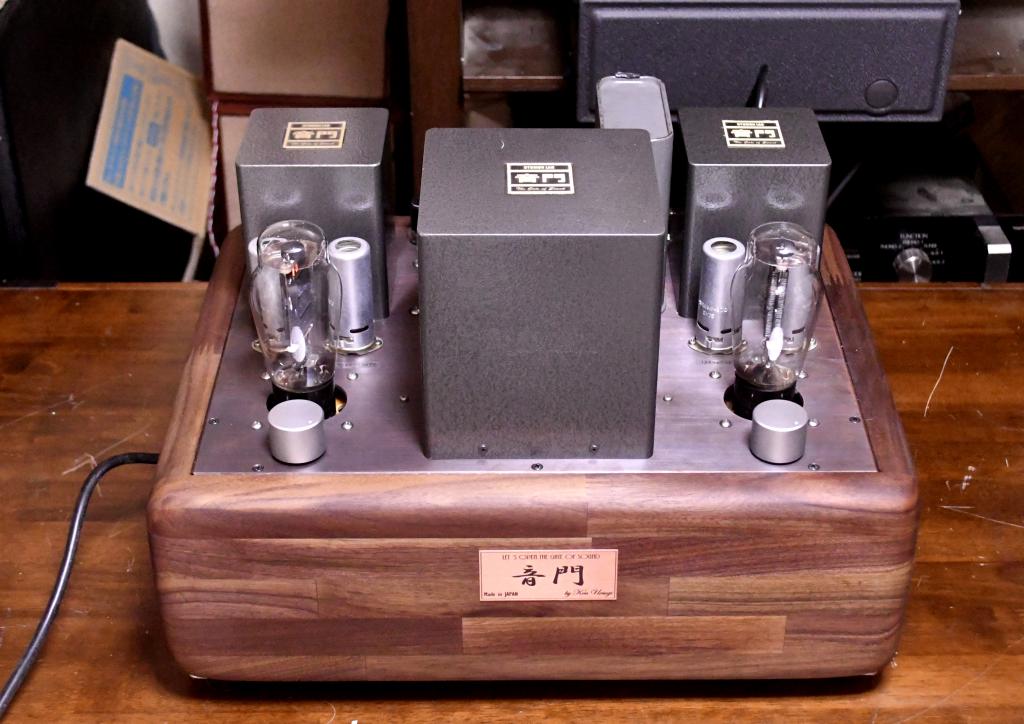 VT-62/801A/50SE tube amplifier special made 117V input pure class A1