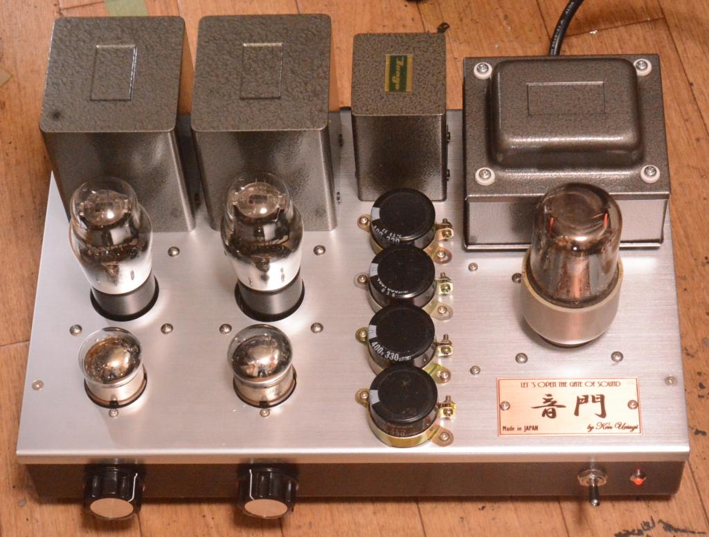 45 SE tube amplifier/preamp/buffer amp driving tube 717A