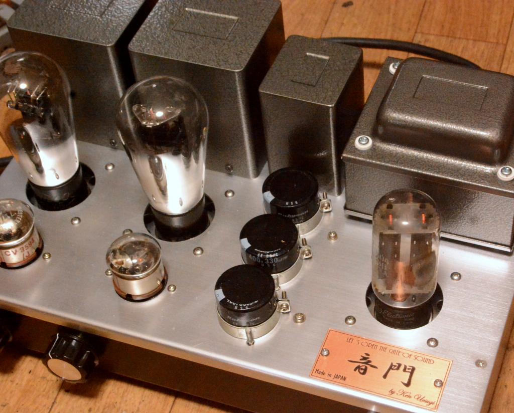 45 SE tube amplifier/preamp/buffer amp driving tube 717A