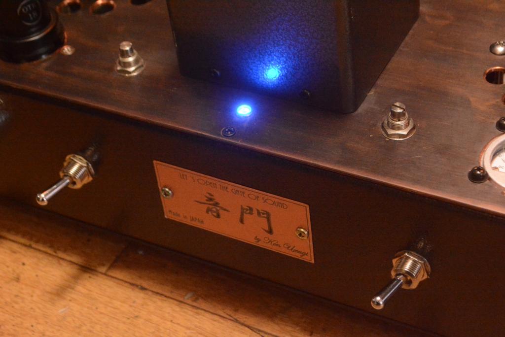 211/845 drive 211/845 tube amplifier monoblock x 2