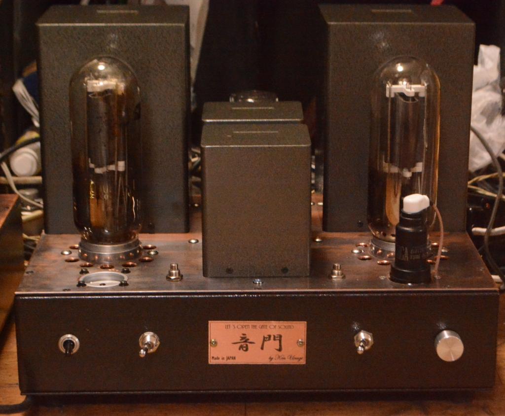 211/845 drive 211/845 tube amplifier monoblock x 2