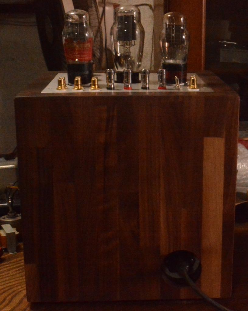 "The Tesseract" 45 SE tube amplifier using as power amp or preamp