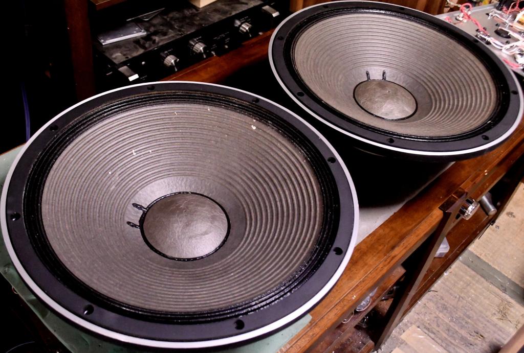 Pair Exclusive model 3401 speaker 40cm woofer EL-403