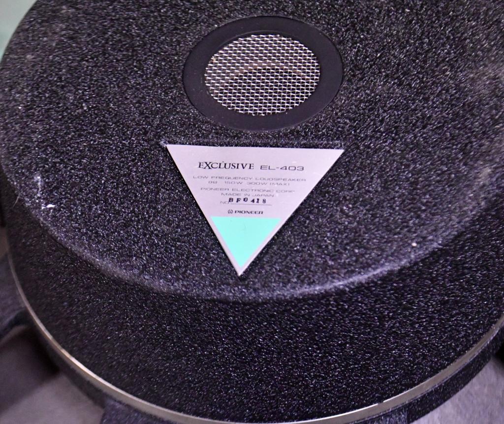 Pair Exclusive model 3401 speaker 40cm woofer EL-403