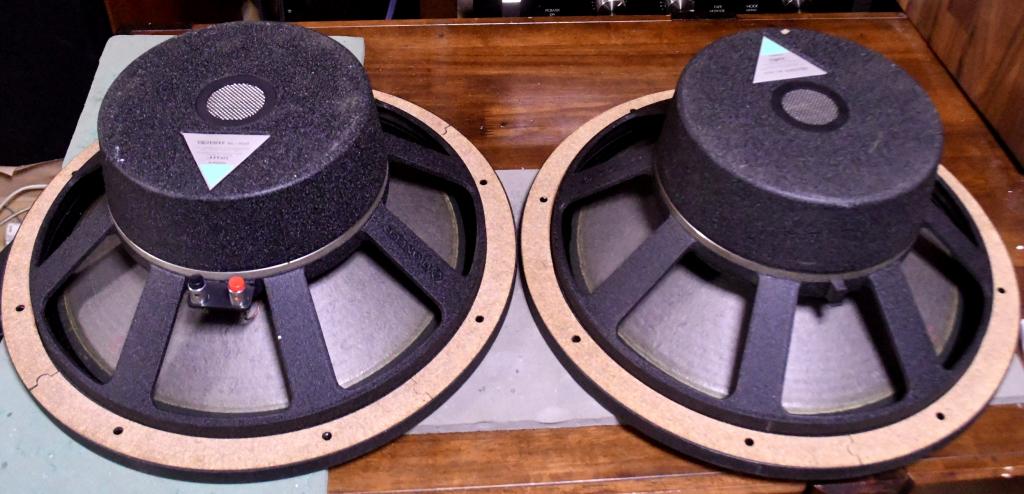 Pair Exclusive model 3401 speaker 40cm woofer EL-403