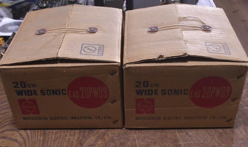 Pair Legend 50s year TECHNICS EAS-20PW09 x pair * Japanese Lowther